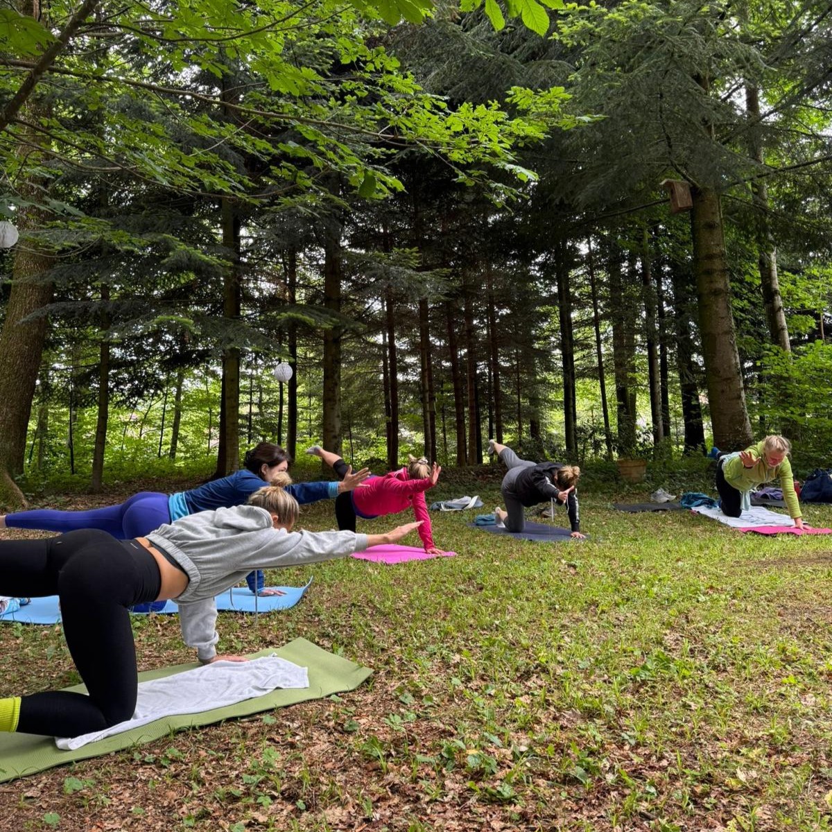 Teilnehmer Yoga im Wald Nina Brustmann