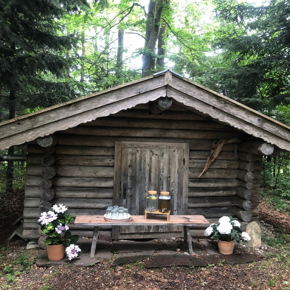 Getränke Yoga im Wald Nina Brustmann