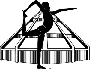 Iyengar Yoga Lehrer Zertifikat